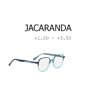 GAFA  PRESBICIA LOOKING JACARANDA