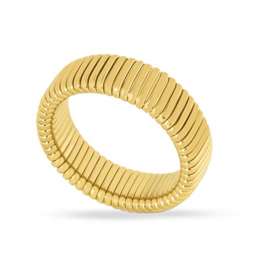 ANILLO CELONICE